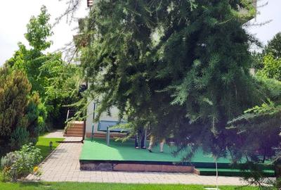 Dimineți pe ponton, seri la piscină – viața la Snagov - 13