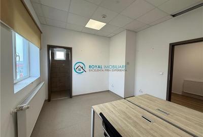 Royal Imobiliare-  Spatiu Industrial Zona Exterior Vest - 10