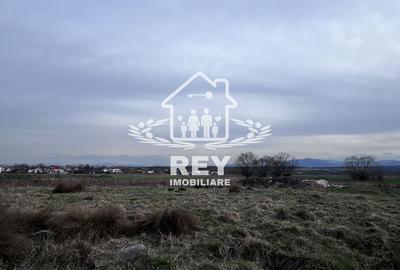 Teren agricol extravilan de 7500 mp, în Turnișor