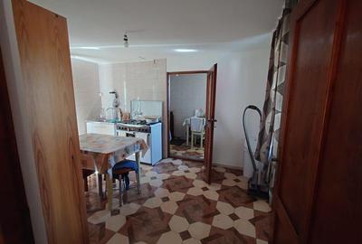 Casa si teren Baia de Cris - 10