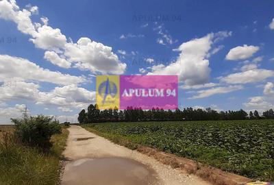 Teren 715mp în Snagov lângă Equestria - 20