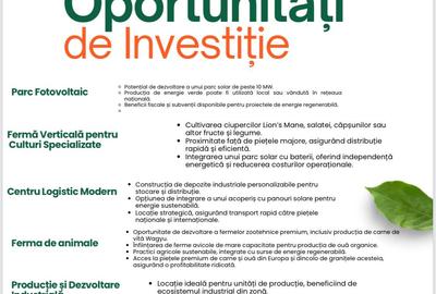 Teren Construcții intravilan de 120000 mp, în Teiu