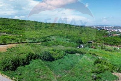 Teren intravilan de vânzare – 4.000 mp, Vișan - 4