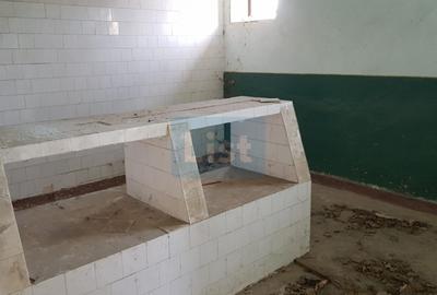 Comision 0%, Doman, Constructie 698 mp si 1800 mp de teren - 10