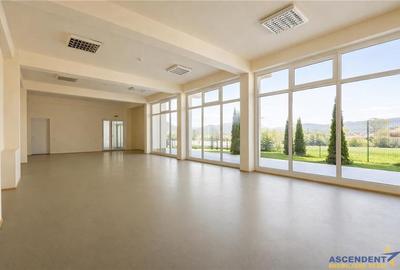 Spatiu comercial nou, acces facil, componenta si dotari apreciabile, Calea Bucur - 1