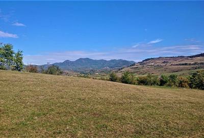 1,8 ha teren cu priveliste langa Deva in Barsau. - 3