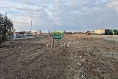 Teren Chitila - 8.700 mp - pretabil pentru hale - 3