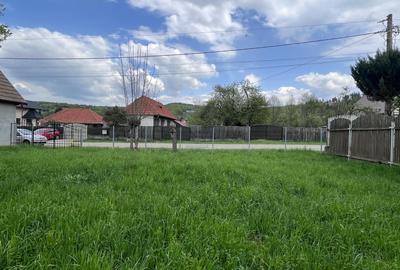 Teren intravilan de constructii si gradina 2030 mp-Tarlungeni - 3