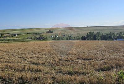 Teren intravilan, 7500 mp in Moara Carp / Strada Eternitatii-Suceava - 16