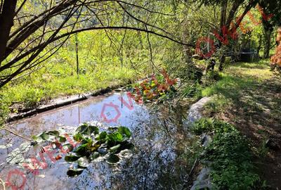 De vânzare casă familială situată în Miercurea Nirajului, zona Sântandrei! - 19