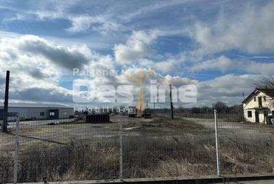 Teren cu potențial industrial și logistic – DN72A, Dragomirești, jud. Dâmbovița - 2