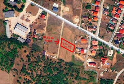 Teren pentru casa de vanzare in Paleu, Oradea, Bihor - 2