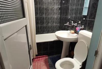Bucurestii Noi, apartament 2 camere la curte - 14