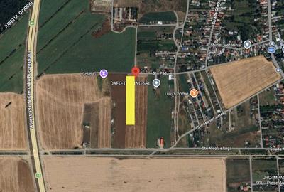 Oportunitate de Investiție Teren Intravilan Ciorogarla 5000MP Deschidere 36M! - 1