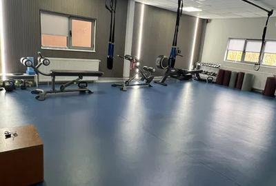 Spațiu comercial, de 440 mp, în Brazda lui Novac