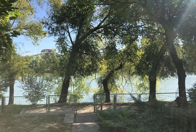 Vila 6 camere cu iesire la lacul Baneasa teren 317 mp - 4