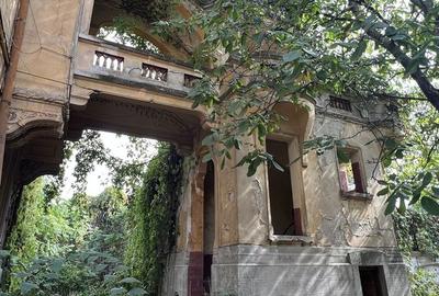 VILA INDIVIDUALA CISMIGIU | INTR. TEMISANA - 14