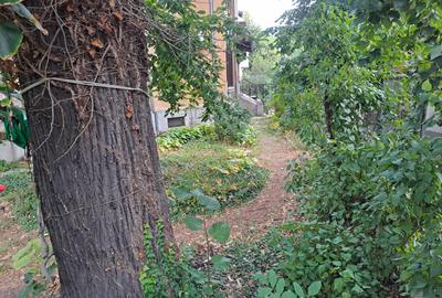 Cotroceni - Elefterie, mansarda duplex, 330 mp, , singur pe etaj, libera - 2