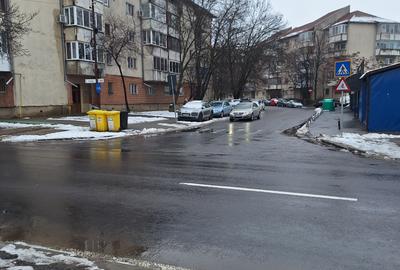 Timisoara-Fratelia,casa de vanzare - 9
