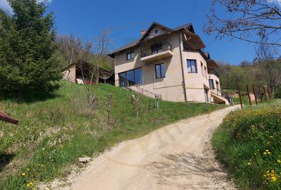 Casa 6 camere langa padure/ 340 mp/ teren de 3 745 mp la 5 min de Pitesti - 11