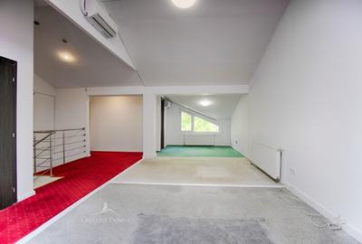 Piata Muncii - Vila cu 10 camere, 366 mp utili - 14