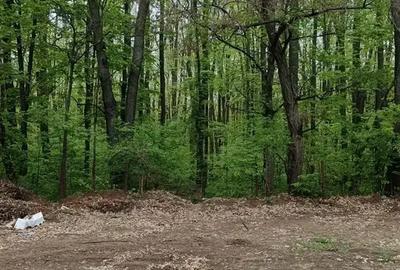 Duplex Exclusivist si curte privata Iancu Nicolae - 9