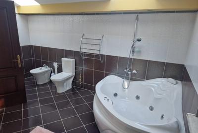 De Vanzare Vila Ultracentral Suceava - 22