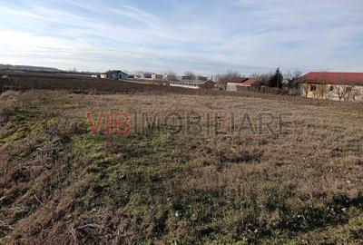 Teren intravilan de 16600 mp, în Bucovăț (Remetea Mare)