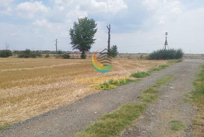 Teren in Vidra – 441 mp | PUZ aprobat | Utilitati la lot - 2