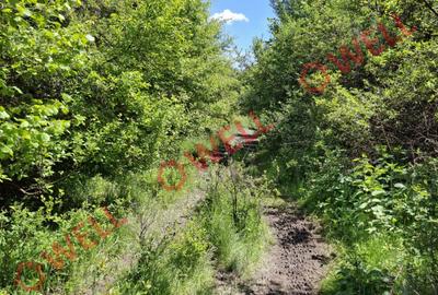 De vânzare teren intravilan de 30 000 m² (3 ha) în Reghin - 6