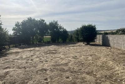RECO , Spatiu comercial, Ineu,Bihor - 7