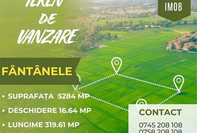 Teren De Vanzare Comuna Margineni - 1