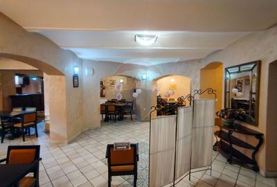 Două vile de patrimoniu, restaurate integral - 13