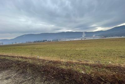 Teren Construcții intravilan de 11500 mp, în Bartolomeu - 2