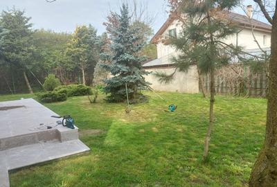 Constanta Sud (Lazu), vila P+1, 5 camere, renovata 2026 - 20