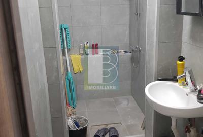 Pantelimon Baicului Doamna Ghica bl.Reabilitat DECOMANDAT,Nou mobilat, luminos - 7