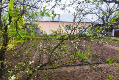 Casă Scrioaștea Cucueți lângă Roșiorii de Vede 200 mp teren 3000 mp - 14