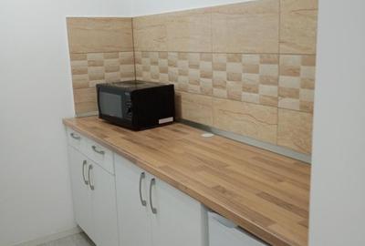 De inchiriat! Apartament cu o camera in Piata Victoriei! - 4