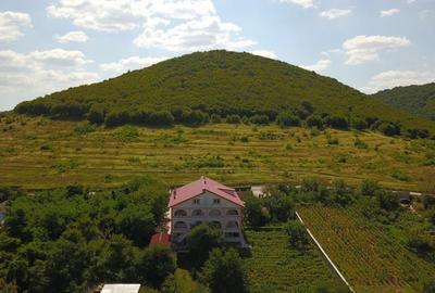 OPORTUNITATE VILA-PENSIUNE-HOTEL-CLINICA-CLADIRE ADMINISTRATIVA - 5