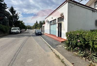 Casă / Vilă + cladire birouri de vanzare in Aviatiei, venit pasiv - 33
