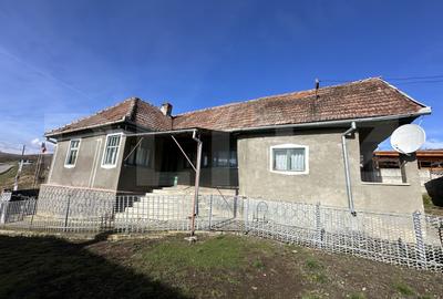 Casa la tara, 4000 mp teren, utilitati, acces A10, sat Dumbrava - 2