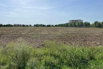 Teren Investitie - Pretabil Industrial, Logistica - 2