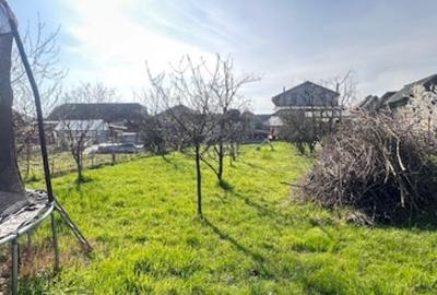 LAPUSEL, teren intravilan cu proiect casa  si teren de aprox,10ari! - 2