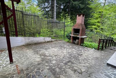 Casa de vacanta Predeal - 17
