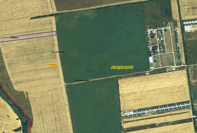 Teren intravilat Tunari 15000m2 - 1