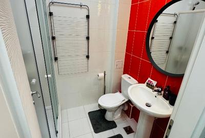 Garsoniera Palladium Residence/Metrou Nicolae Teclu - 13