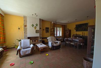 Faleza Nord casa P+1+M tip duplex - 13