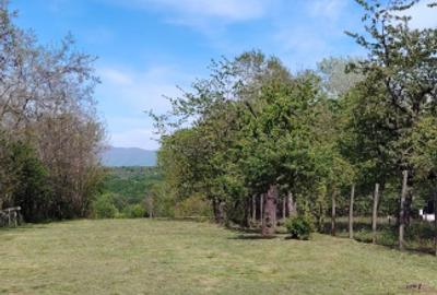 Teren zona montana in com.Turcinesti Jud.Gorj - 8