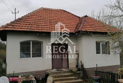Casă de vânzare în Cerisor – liniște, natură și teren generos! - 2