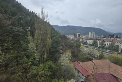 Apartament 2 camere, etaj 8/9, priveliște superbă Zona Orhei - 4